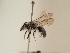  ( - TJW_1790)  @11 [ ] nrr (2025) Unspecified Thomas Wood