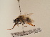  ( - TJW_1821)  @11 [ ] nrr (2025) Unspecified Thomas Wood