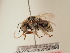  ( - TJW_1839)  @11 [ ] nrr (2025) Unspecified Thomas Wood