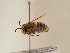  ( - TJW_1845)  @11 [ ] nrr (2025) Unspecified Thomas Wood