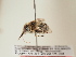  ( - TJW_1846)  @11 [ ] nrr (2025) Unspecified Thomas Wood