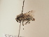  ( - TJW_1849)  @11 [ ] nrr (2025) Unspecified Thomas Wood