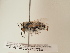  ( - TJW_1851)  @11 [ ] nrr (2025) Unspecified Thomas Wood