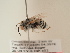  ( - TJW_1852)  @11 [ ] nrr (2025) Unspecified Thomas Wood