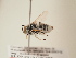  ( - TJW_1853)  @11 [ ] nrr (2025) Unspecified Thomas Wood
