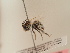  ( - TJW_1860)  @11 [ ] nrr (2025) Unspecified Thomas Wood