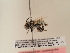  ( - TJW_1861)  @11 [ ] nrr (2025) Unspecified Thomas Wood