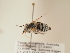  ( - TJW_1904)  @11 [ ] nrr (2025) Unspecified Thomas Wood