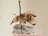  ( - TJW_1905)  @11 [ ] nrr (2025) Unspecified Thomas Wood