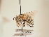  ( - TJW_1906)  @11 [ ] nrr (2025) Unspecified Thomas Wood