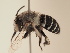  ( - TJW_1915)  @11 [ ] nrr (2025) Unspecified Thomas Wood