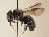  ( - TJW_1926)  @11 [ ] nrr (2025) Unspecified Thomas Wood