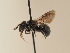  ( - TJW_1927)  @11 [ ] nrr (2025) Unspecified Thomas Wood