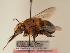  ( - TJW_1937)  @11 [ ] nrr (2025) Unspecified Thomas Wood