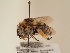  ( - TJW_1938)  @11 [ ] nrr (2025) Unspecified Thomas Wood