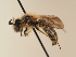  ( - TJW_1943)  @11 [ ] nrr (2025) Unspecified Thomas Wood