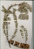  ( - MEKH 31)  @11 [ ] CreativeCommons - Attribution Non-Commercial Share-Alike (2012) Mamadi Theresa Sethusa University of Johannesburg