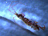  ( - WSBS0225)  @11 [ ] Unspecified (default): All Rights Reserved (2011) Neretina T.V. Moscow State University, White Sea Biological Station