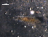  ( - WSBS0643)  @12 [ ] Unspecified (default): All Rights Reserved (2011) Neretina T.V. Moscow State University, White Sea Biological Station