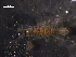  ( - WSBS0645)  @12 [ ] Unspecified (default): All Rights Reserved (2011) Neretina T.V. Moscow State University, White Sea Biological Station