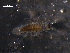  ( - WSBS0646)  @12 [ ] Unspecified (default): All Rights Reserved (2011) Neretina T.V. Moscow State University, White Sea Biological Station