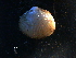  ( - WSBS0705)  @11 [ ] Unspecified (default): All Rights Reserved (2011) Neretina T.V. Moscow State University, White Sea Biological Station