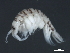  ( - WS073)  @13 [ ] CreativeCommons - Attribution (2010) Unspecified Centre for Biodiversity Genomics