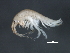  ( - WS088)  @11 [ ] CreativeCommons - Attribution (2010) Unspecified Centre for Biodiversity Genomics