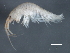  ( - WS128)  @13 [ ] CreativeCommons - Attribution (2010) Unspecified Centre for Biodiversity Genomics