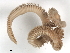  ( - WS0019)  @14 [ ] CreativeCommons - Attribution (2009) Unspecified Centre for Biodiversity Genomics
