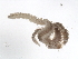  ( - WS0021)  @11 [ ] CreativeCommons - Attribution (2009) Unspecified Centre for Biodiversity Genomics