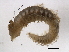  ( - WS0071)  @12 [ ] CreativeCommons - Attribution (2009) Unspecified Centre for Biodiversity Genomics