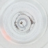  ( - WTPV_013_F11)  @11 [ ] by  Genome Research Ltd as Wellcome Sanger Institute Genome Research Limited operating as Wellcome Sanger Institute