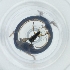  ( - WTPV_016_B6)  @11 [ ] by  Genome Research Ltd as Wellcome Sanger Institute Genome Research Limited operating as Wellcome Sanger Institute