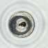  ( - WTPV_017_H2)  @11 [ ] by  Genome Research Ltd as Wellcome Sanger Institute Genome Research Limited operating as Wellcome Sanger Institute