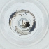  ( - WTPV_023_E4)  @11 [ ] by  Genome Research Ltd as Wellcome Sanger Institute Genome Research Limited operating as Wellcome Sanger Institute