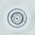  ( - WTPV_024_C5)  @11 [ ] by  Genome Research Ltd as Wellcome Sanger Institute Genome Research Limited operating as Wellcome Sanger Institute