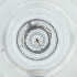  ( - WTPV_024_G6)  @11 [ ] by  Genome Research Ltd as Wellcome Sanger Institute Genome Research Limited operating as Wellcome Sanger Institute