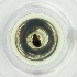  ( - WTPV_024_H7)  @11 [ ] by  Genome Research Ltd as Wellcome Sanger Institute Genome Research Limited operating as Wellcome Sanger Institute