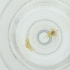  ( - WTPV_029_D4)  @11 [ ] by  Genome Research Ltd as Wellcome Sanger Institute Genome Research Limited operating as Wellcome Sanger Institute