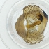  ( - WTPV_029_D7)  @11 [ ] by  Genome Research Ltd as Wellcome Sanger Institute Genome Research Limited operating as Wellcome Sanger Institute