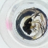  ( - WTPV_031_F12)  @11 [ ] by  Genome Research Ltd as Wellcome Sanger Institute Genome Research Limited operating as Wellcome Sanger Institute