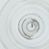  ( - WTPV_033_D3)  @11 [ ] by  Genome Research Ltd as Wellcome Sanger Institute Genome Research Limited operating as Wellcome Sanger Institute