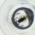  ( - WTPV_034_C9)  @11 [ ] by  Genome Research Ltd as Wellcome Sanger Institute Genome Research Limited operating as Wellcome Sanger Institute
