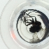  ( - WTPV_036_E11)  @11 [ ] by  Genome Research Ltd as Wellcome Sanger Institute Genome Research Limited operating as Wellcome Sanger Institute