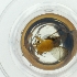  ( - WTPV_038_B5)  @11 [ ] by  Genome Research Ltd as Wellcome Sanger Institute Genome Research Limited operating as Wellcome Sanger Institute