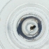  ( - WTPV_038_C2)  @11 [ ] by  Genome Research Ltd as Wellcome Sanger Institute Genome Research Limited operating as Wellcome Sanger Institute