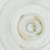  ( - WTPV_039_G6)  @11 [ ] by  Genome Research Ltd as Wellcome Sanger Institute Genome Research Limited operating as Wellcome Sanger Institute