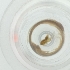  ( - WTPV_040_E12)  @11 [ ] by  Genome Research Ltd as Wellcome Sanger Institute Genome Research Limited operating as Wellcome Sanger Institute
