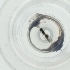  ( - WTPV_041_B8)  @11 [ ] by  Genome Research Ltd as Wellcome Sanger Institute Genome Research Limited operating as Wellcome Sanger Institute